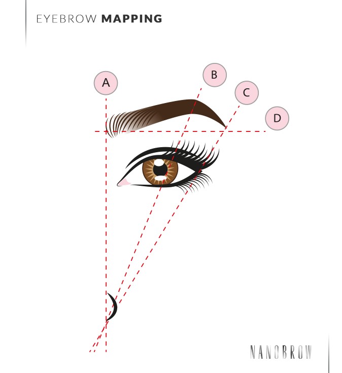 how to determine the shape of the eyebrows
